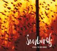 Cool To Be Kind - Album