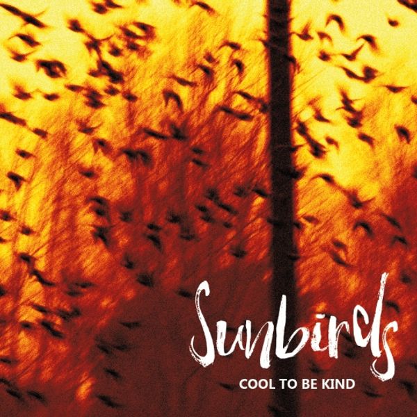 Cool To Be Kind - Album