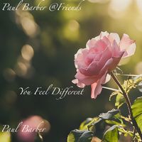 You Fee Different by Paul Barber & Friends / Paul Barber
