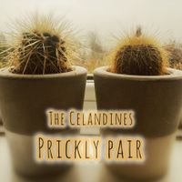 Prickly Pair by The Celandines