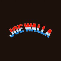 Built 4 Speed by Joe Walla Band
