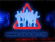 Iván estará en Animales Sueltos por América TV
