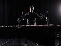 Haydn-Orchester Hamburg | Herbstkonzert 2026