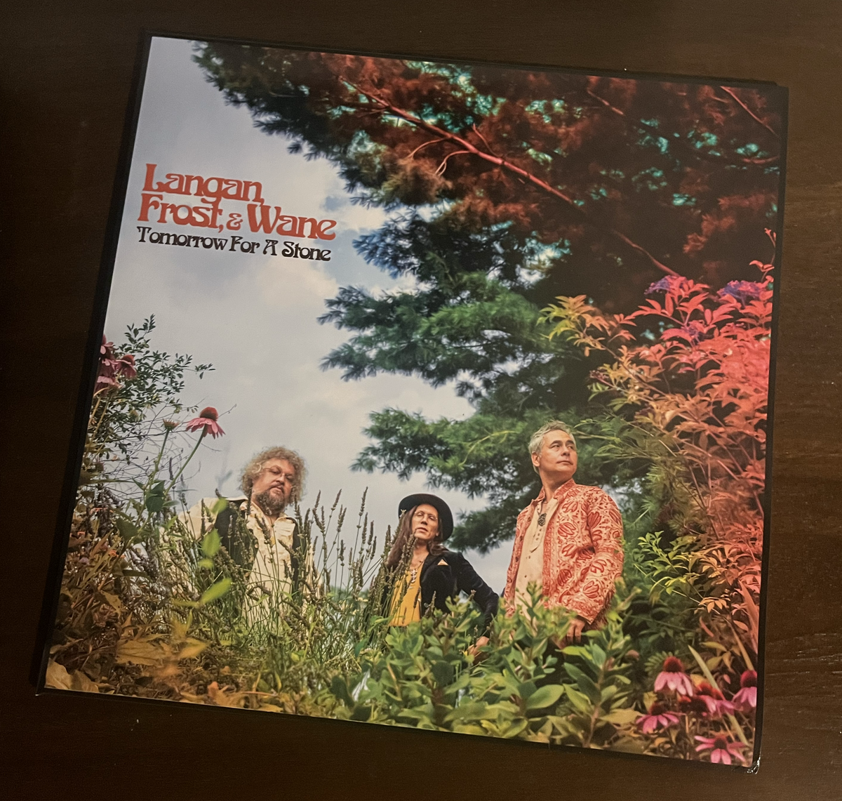 Tomorrow For A Stone - First Pressing LP