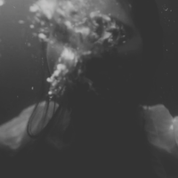 drowned (don't water me down) by verses in bloom