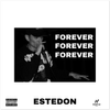 Forever - Fine Art Poster