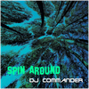 Spin Around - Fine Art Poster