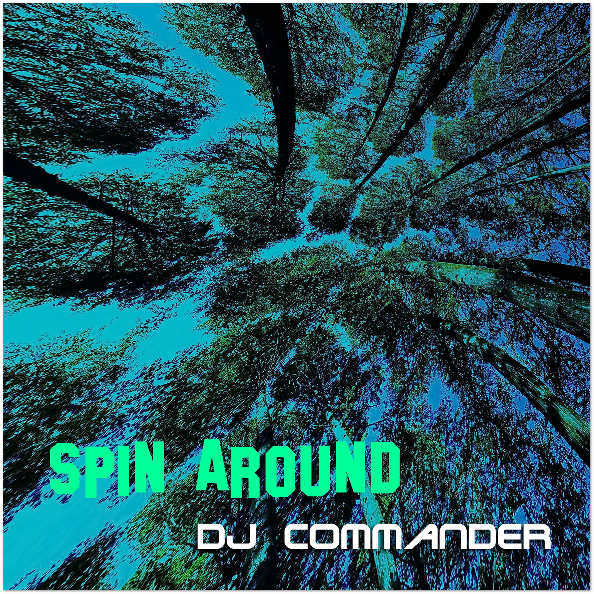 Spin Around - Fine Art Poster