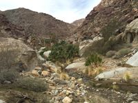 Live in Borrego Springs!  