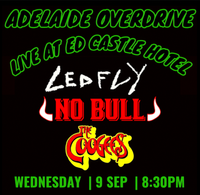 LEDFLY, No Bull & The Coogees 