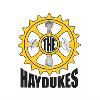 The Best of the Bad Times by The Haydukes
