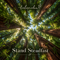 Stand Steadfast by Talamelia