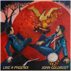 Like A Phoenix - Fine Art Poster