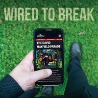 Wired to Break by The David Mayfield Parade
