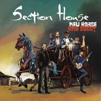 New Horse and Buggy by Section House
