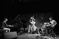 The Danny Green Trio with Special Guest Harvey Wainapel