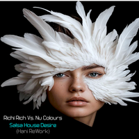 Salsa House Desire by Richi Rich Vs. Nu Colours