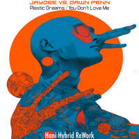 Plastic Dreams / You Don't Love Me by Jaydee Vs. Dawn Penn