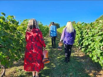 Women of Fiddle at the Little Red Wagon Winery in Shawville, QC
