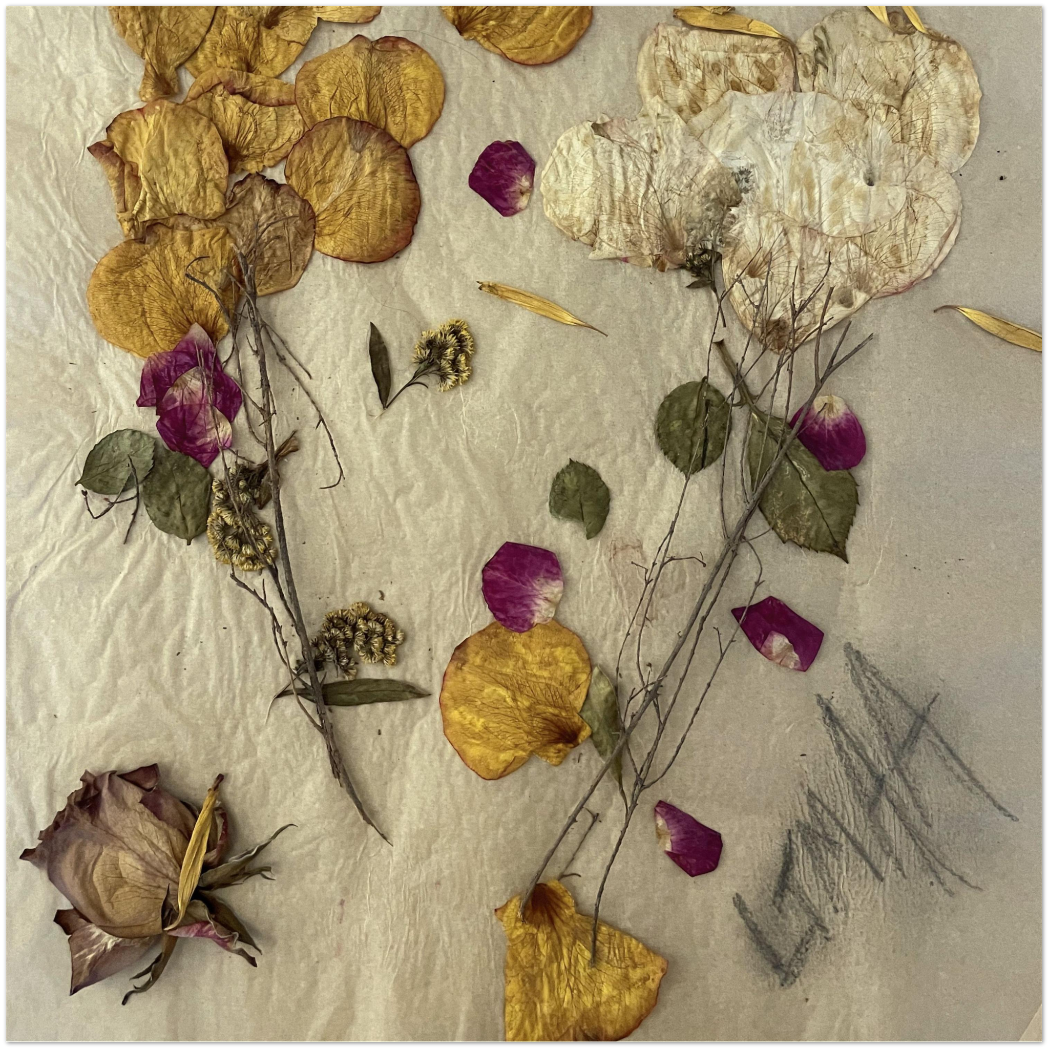 Violent Bouquets - Fine Art Poster