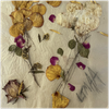 Violent Bouquets - Fine Art Poster