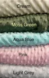 Personalized Minky Baby blanket and Lovey