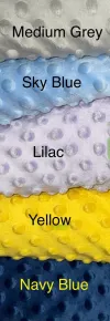 Personalized Minky Baby blanket and Lovey