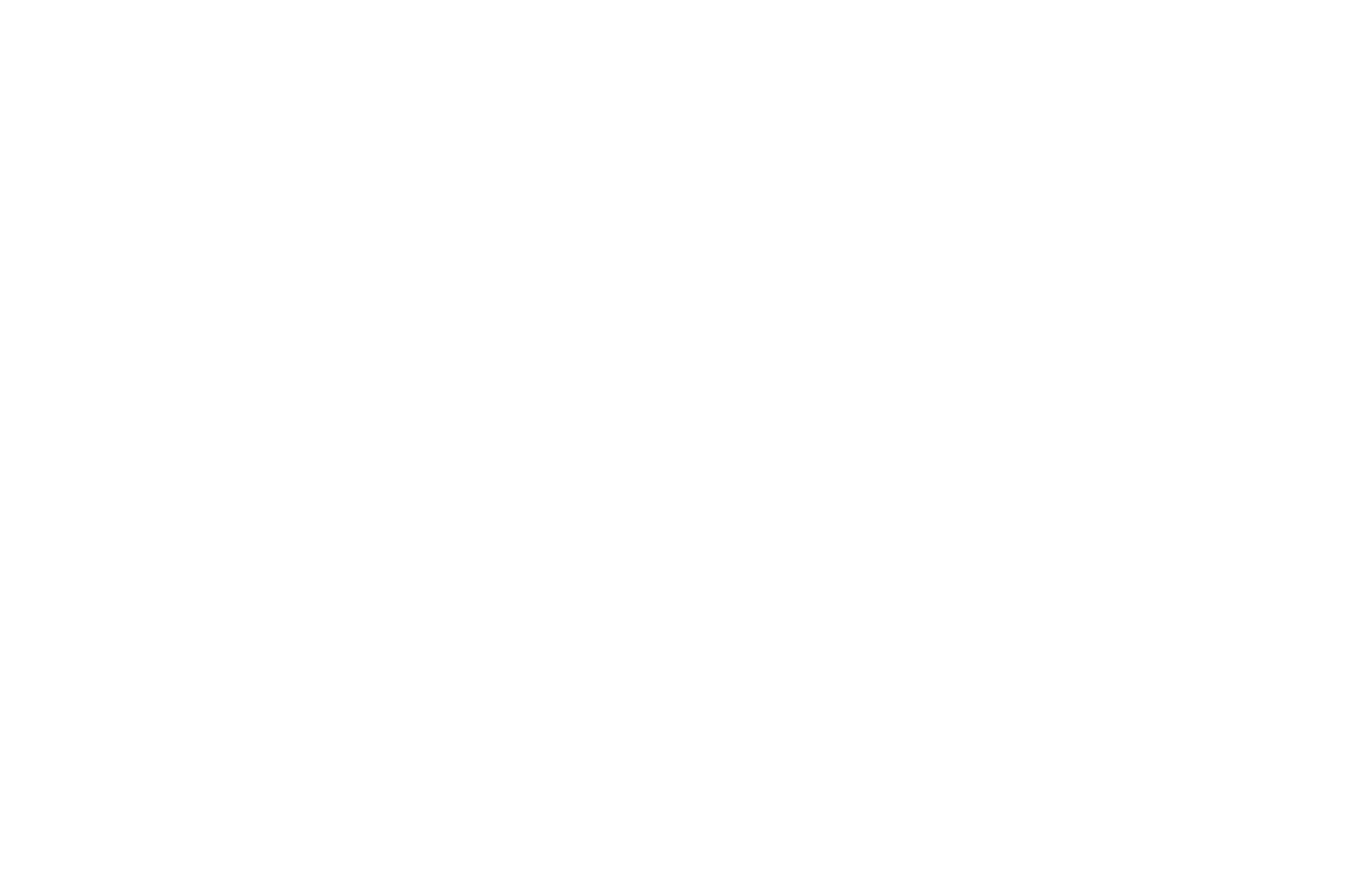 Gabriel Palatchi