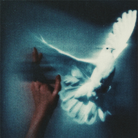 Surrender by Eureka