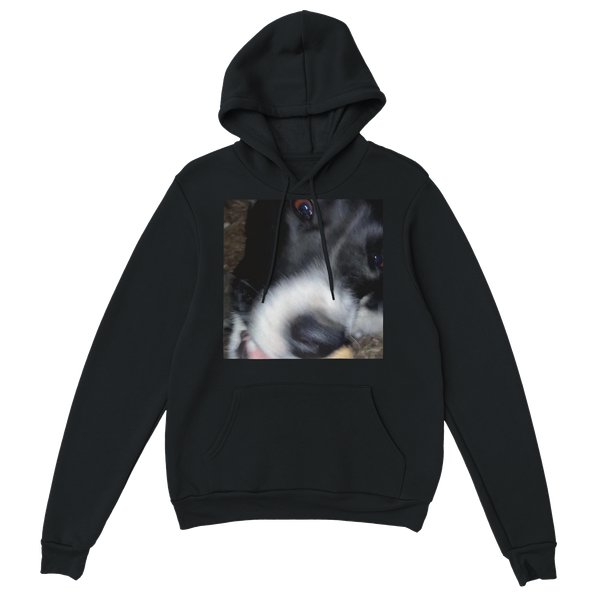Litty - Classic Unisex Pullover Hoodie