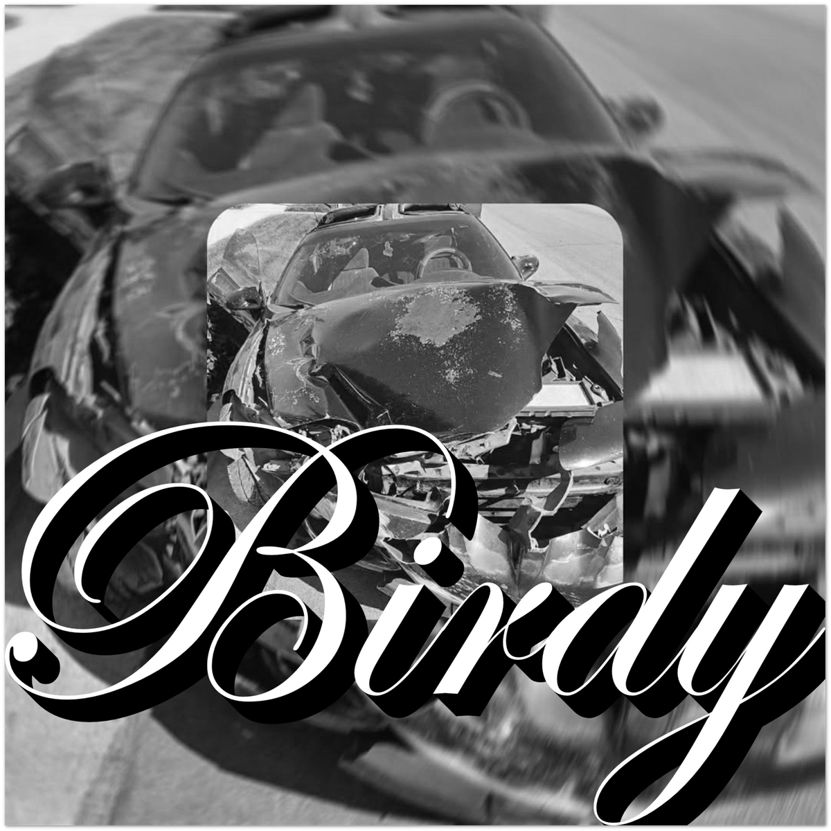 Birdy - Fine Art Poster