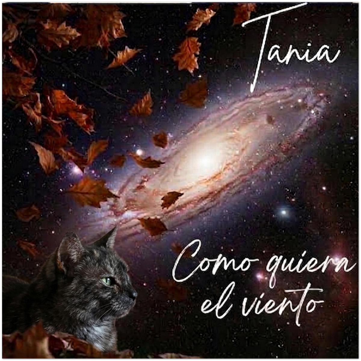Como quiera el viento - Fine Art Poster