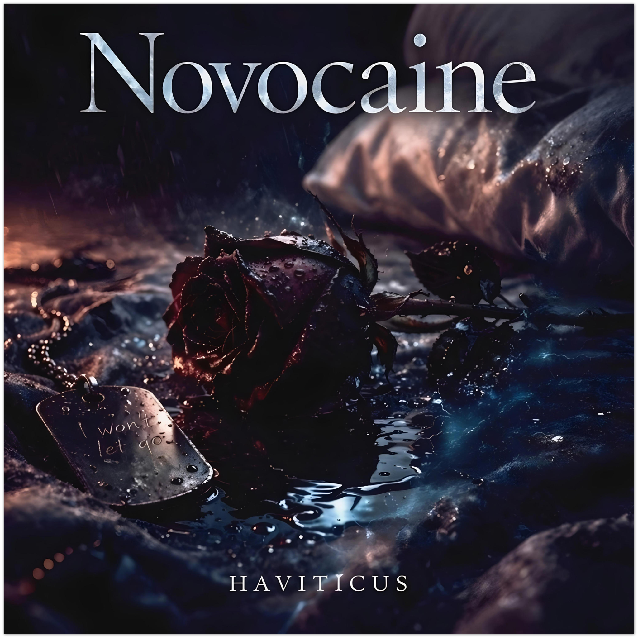 Novocaine - Fine Art Poster - Haviticus