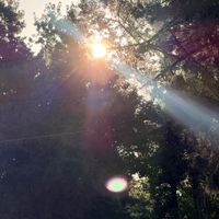 Eternal Goodbye by Deeply Rooted