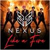Like a Fire - Fine Art Poster