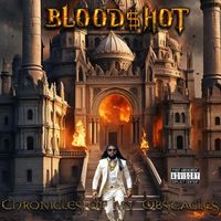 Chronicles of my Obstacles by Bloodshot