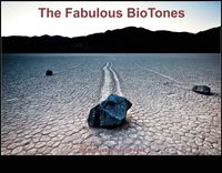 The Fabulous BioTones Play Live!