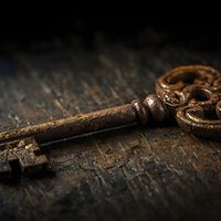 Skeleton Key by Buck Brown