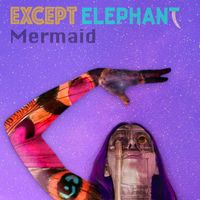 Mermaid by Except Elephant