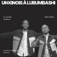 Un kinois à lubumbashi de Camille Amboua