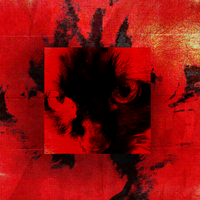 Red On Black by The Gamble
