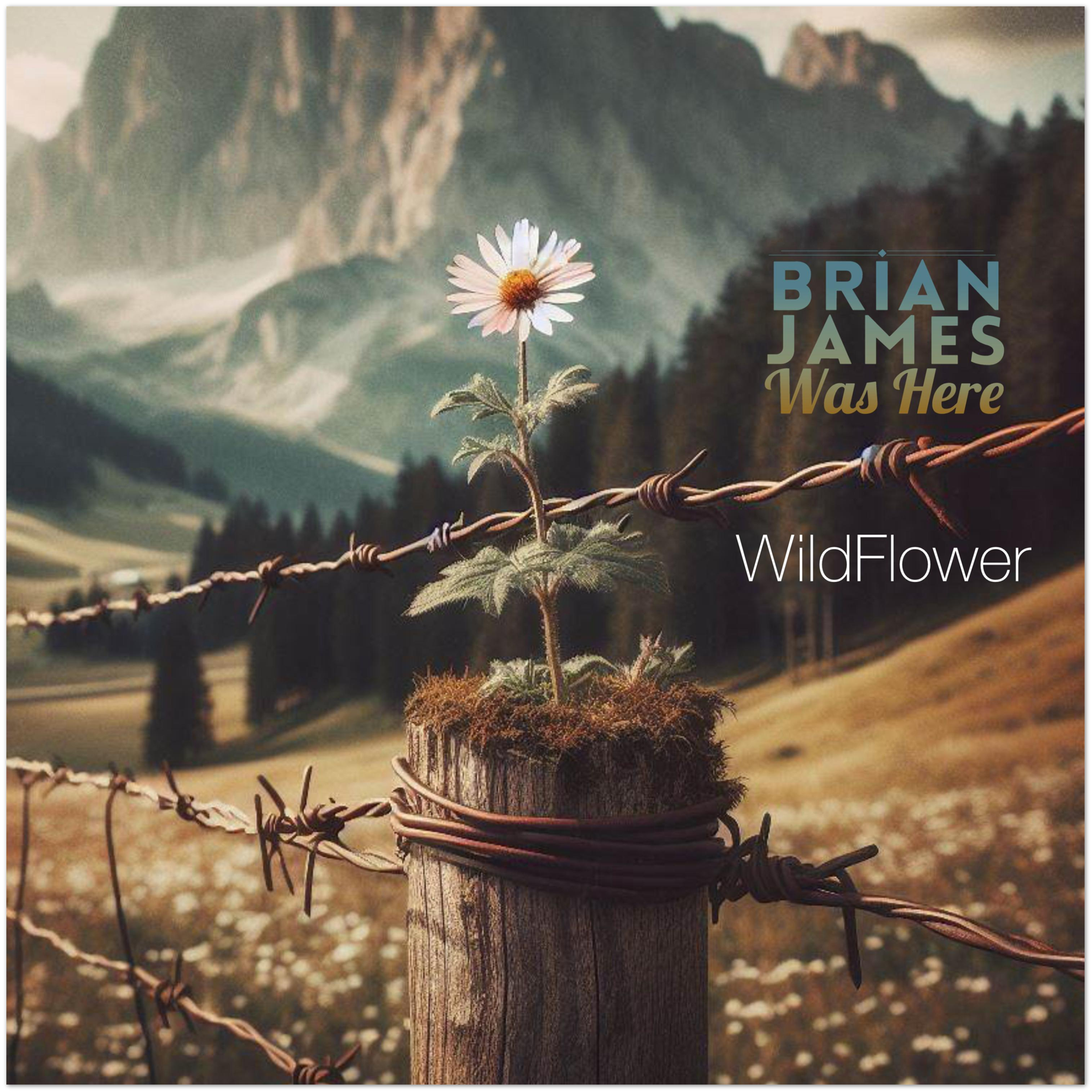 Wildflower - Fine Art Poster