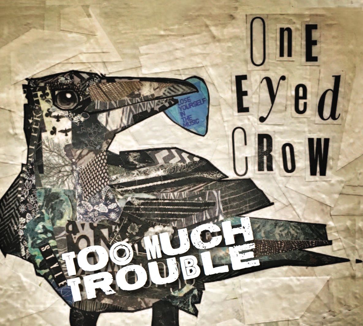 Too Much Trouble - CD