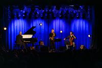 Lehmler / Maiello / Brinkmann