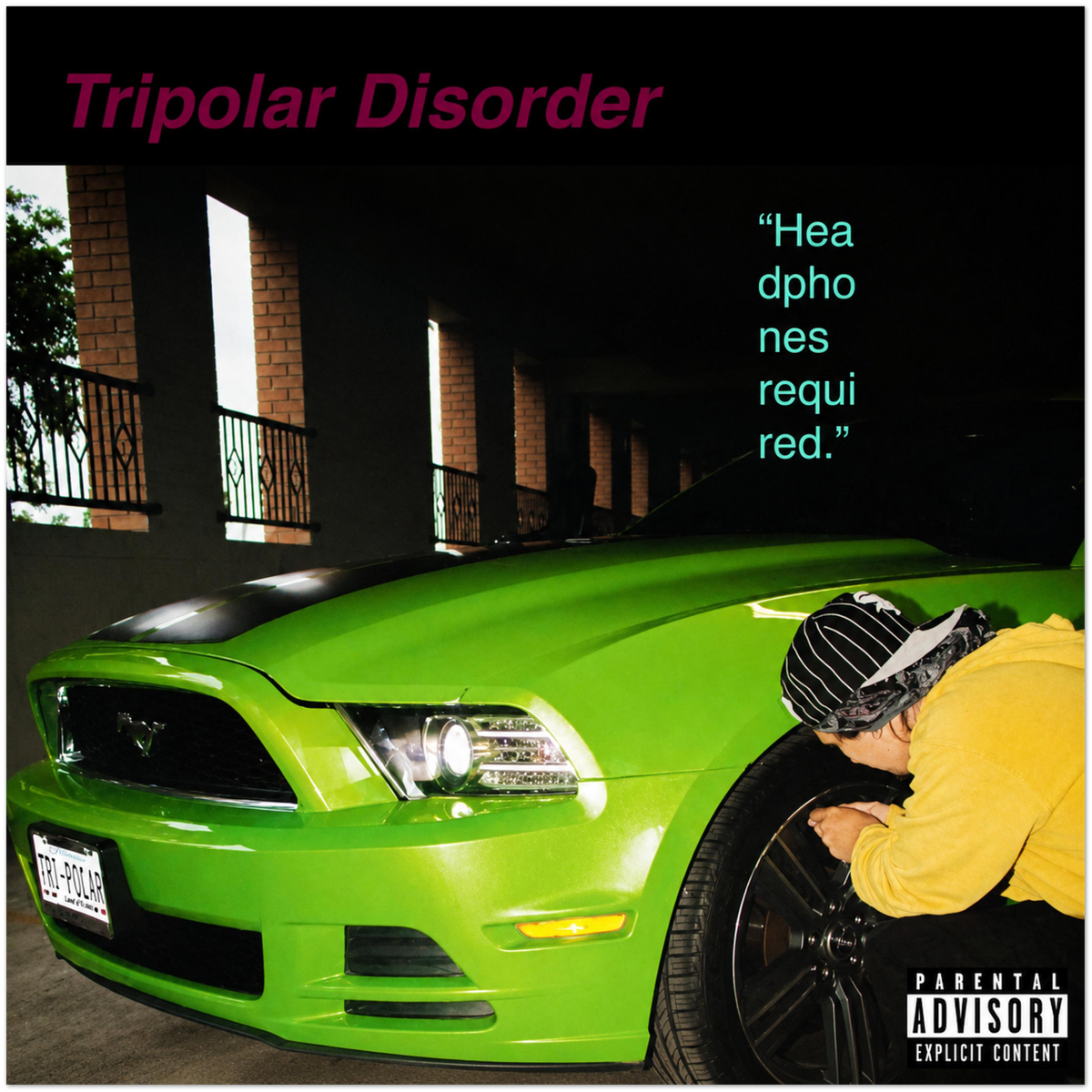 Tripolar Disorder - Fine Art Poster