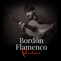 Bordón Flamenco de Puchero