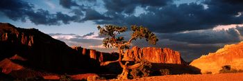 Capital Reef-after the storm
