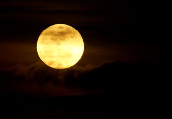 i'm a moon child
