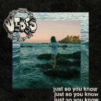 Just So You Know by VIBES