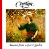 Dreams From A Forest Garden